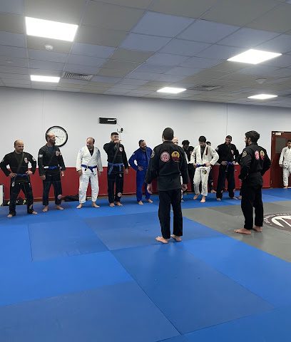 Qatar MMA - Doha - +974 5045 3338