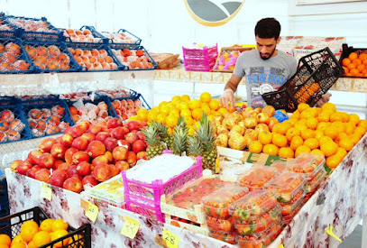 Al Shamal Yard - Umm Salal Muhammed - +974 4466 0226