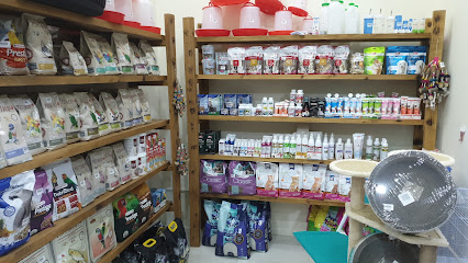 Cure Veterinary Pharmacy - Umm Salal Muhammed - +974 5556 8554