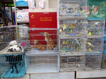 Bird Souq - Doha -