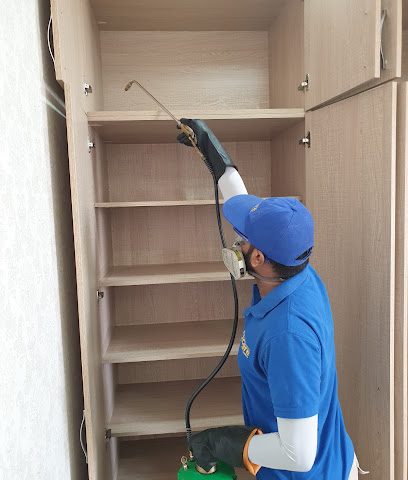 Q Pest control - managemant - Doha - +974 7707 2273