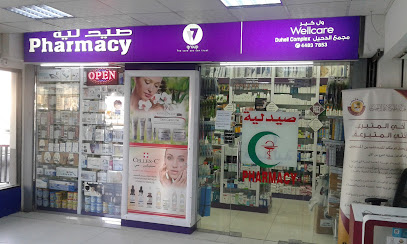 Wellcare Pharmacy Duheil Complex - Doha - +974 4483 7853
