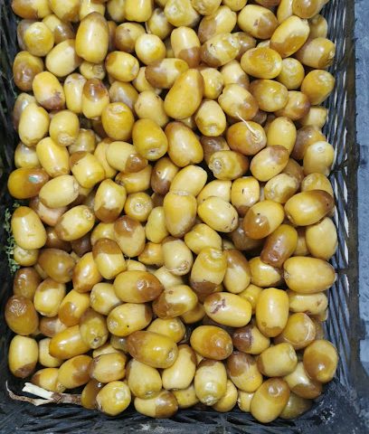 AL KHAMEES TRADING EST. | Qatar , مؤسسةالخميس التجاري | قطر - الريان، - +974 5557 0214