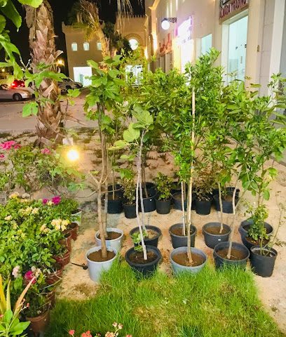 FreshAir flora - Doha - +974 3328 8688