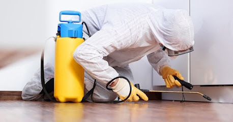 German Pest Control & Cleaning in Doha Qatar - Doha - +974 7741 7045
