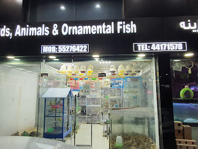 Kingdom Of Birds - Doha - +974 4417 1578