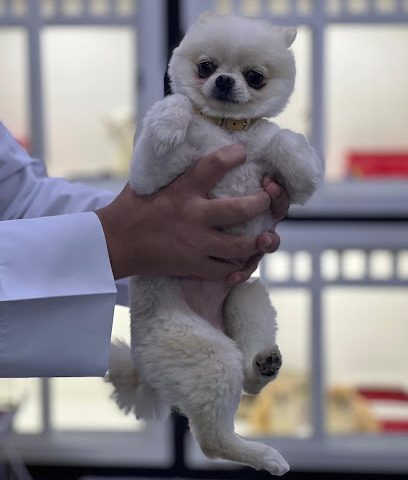 Animal House - Doha - +974 7738 0800