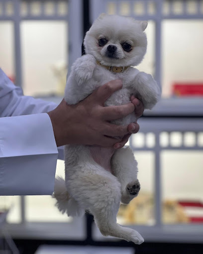 Animal House - Qatar|Doha|8F9P+W84، الدوحة،،
