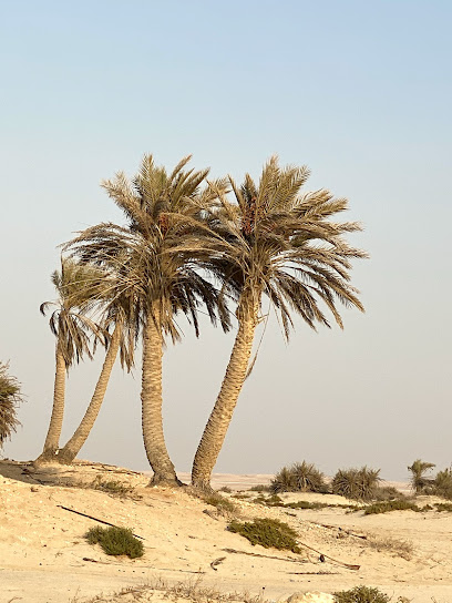 Umm Bab Beach - Qatar|Umm Bab|6Q59+G7H