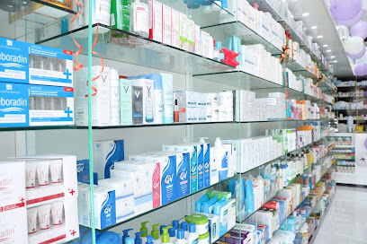 Wellcare Pharmacy Kharthiyat Woqood Station - Doha - +974 4416 6888