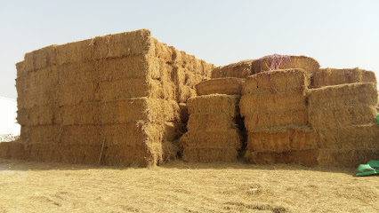 Al-Rahma Trading Co. - الدوحة، - +974 4450 0163