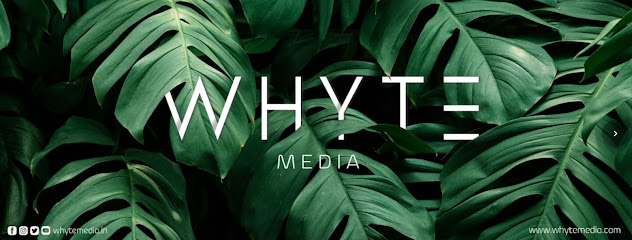 Whyte Media - Digital Marketing Agency in Qatar - Doha - +974 7783 6227