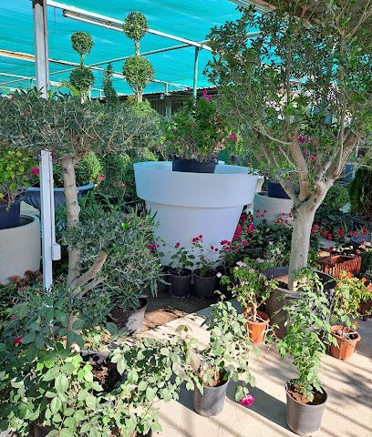The Milestone Nursery ' Mashtal Alhadaf' مشتل الهدف - Doha - +974 4468 2617