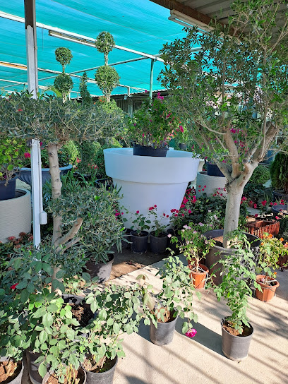 The Milestone Nursery ' Mashtal Alhadaf' مشتل الهدف - Qatar|Doha