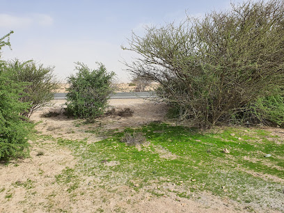 Natural Park - Doha -