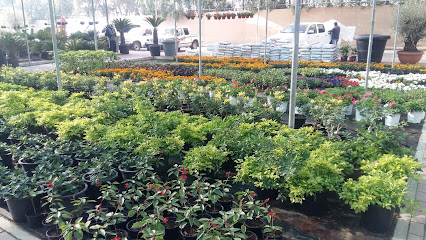 FLORANZA GARDEN CENTER - Doha - +974 3328 6008