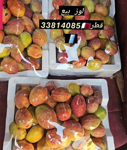 Al Khalaf - Umm Salal Muhammed - +974 6674 9528